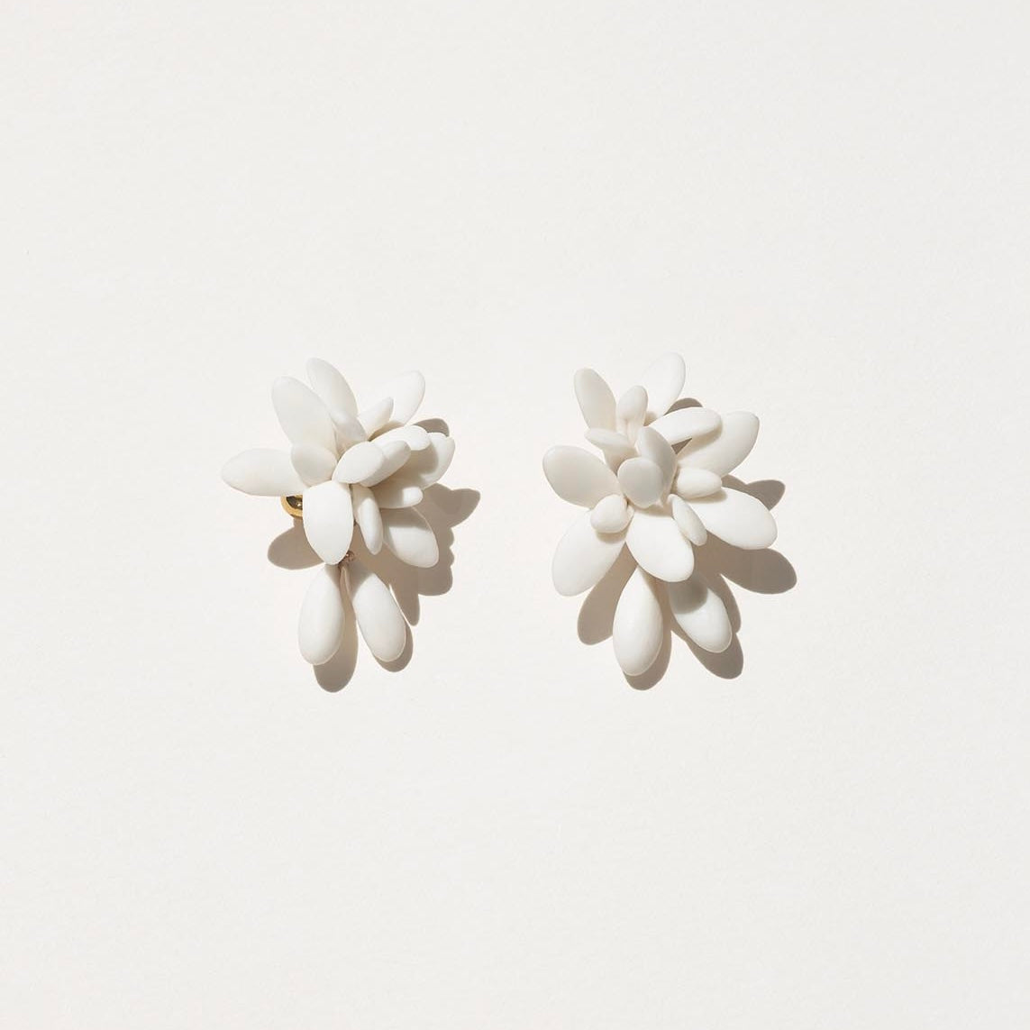 Neroli loops